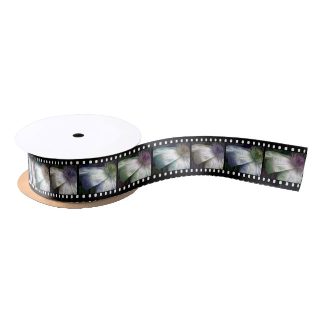 Ruban En Satin Tons de fleur de Filmstrip (Bobine)