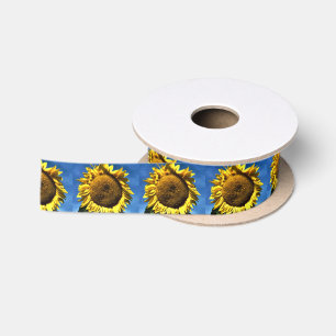 Ruban En Satin tournesol jaune grand peint contre un ciel bleu