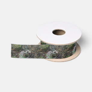 Ruban En Satin Une grenouille heureuse