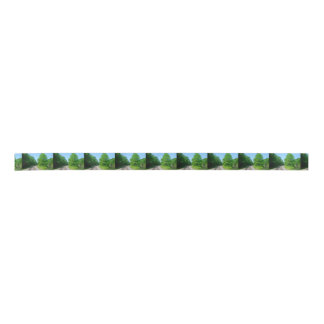 Ruban En Satin Voies de train du comté de Raleigh