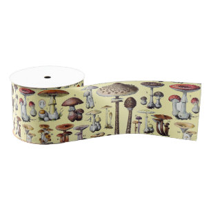 Ruban Gros-grain Art botanique cottagecore vintage de champignons f