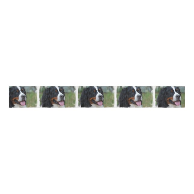 Ruban Gros-grain bernese-mountain-dog-7 (Devant)