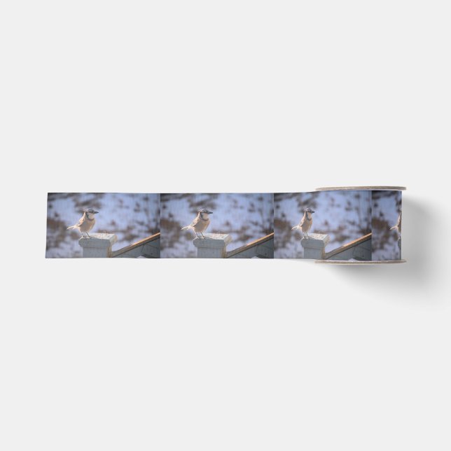 Ruban Gros-grain Blue Jay (Devant)
