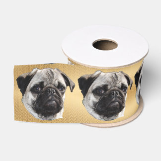 Ruban Gros-grain Carlin Pouty