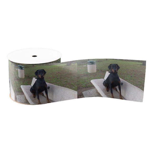Ruban Gros-grain doberman pinting (Bobine)