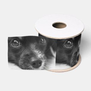 Ruban Gros-grain face papillon