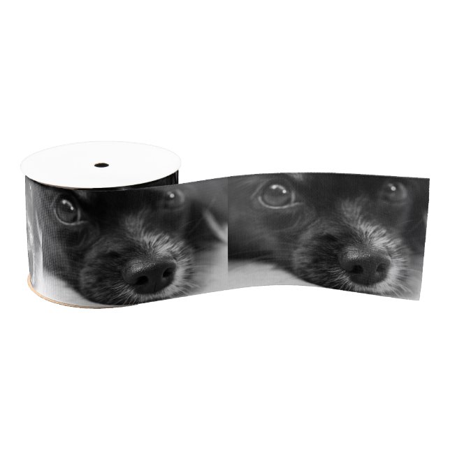 Ruban Gros-grain face papillon (Bobine)
