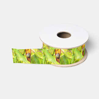 Ruban Gros-grain fixation calme