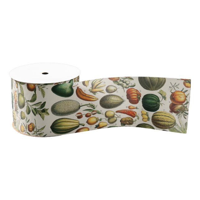 Ruban Gros-grain Fruit Vegetable Botanical Scientific Illustration (Bobine)