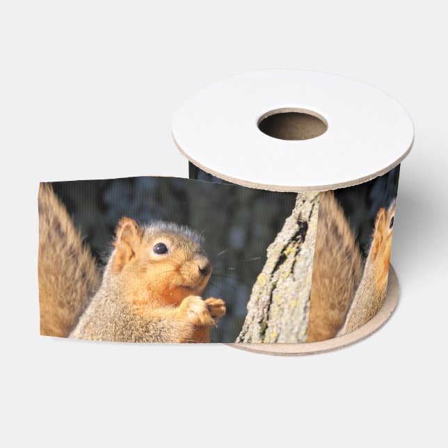 Ruban Gros-grain Fuzzy (Bobine)