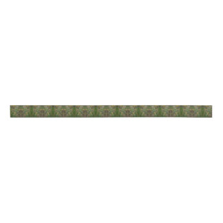 Ruban Gros-grain Graines de prairie