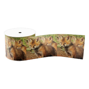 Ruban Gros-grain Kits de Fox rouge