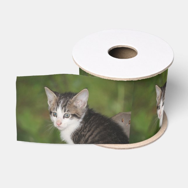 Ruban Gros-grain Kitten (Bobine)