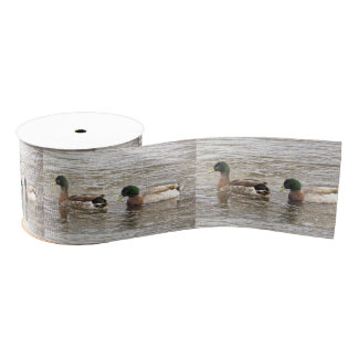 Ruban Gros-grain Mallard Ducks Photo Ribbon