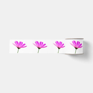 Ruban Gros-grain Marguerite rose