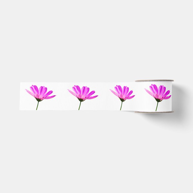 Ruban Gros-grain Marguerite rose   (Devant)