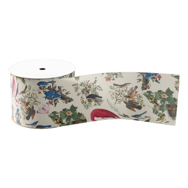 Ruban Gros-grain Oiseaux de John James Audubon (Bobine)