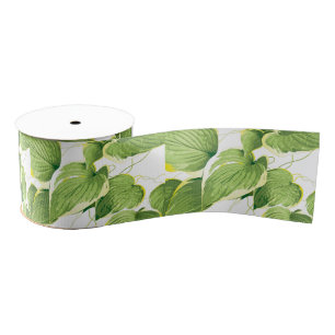 Ruban Gros-grain Plante de ficus