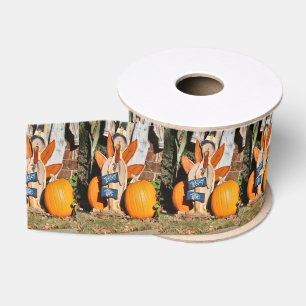 Ruban Gros-grain Ribbon du minuteur turc