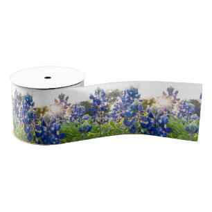 Ruban Gros-grain Texas Bluebonnets Fleurs bleues Texan Floral