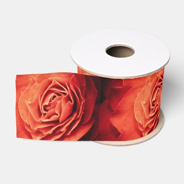 Ruban Gros-grain vivant rose (Bobine)