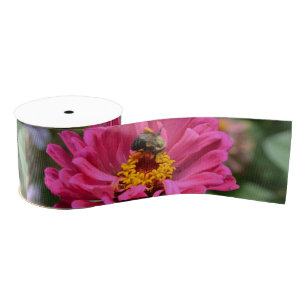 Ruban Gros-grain Zinnia rose et Bumble bee