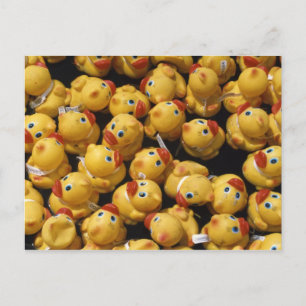 Rubber ducky race - Carte postale