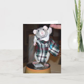 Rubis dans sa carte de kilt