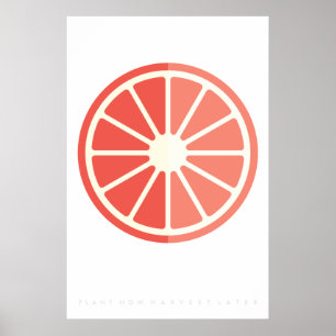 Ruby Citrus Retro Poster de fruits 60's 70's Citat