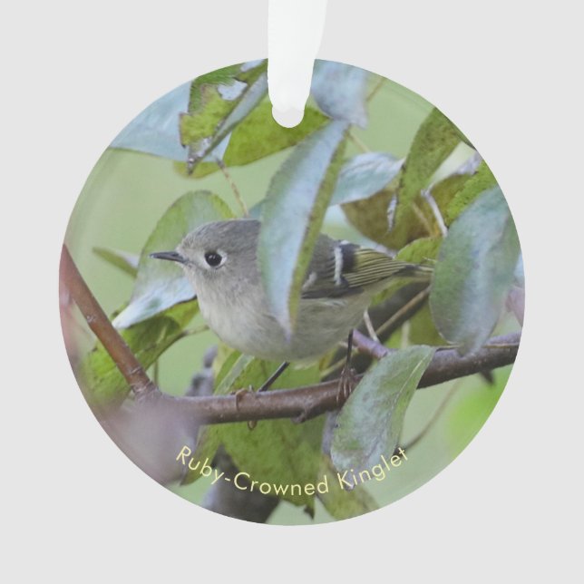 Ruby-crowned Kinglet Bird Ornament with Place Year (devant)