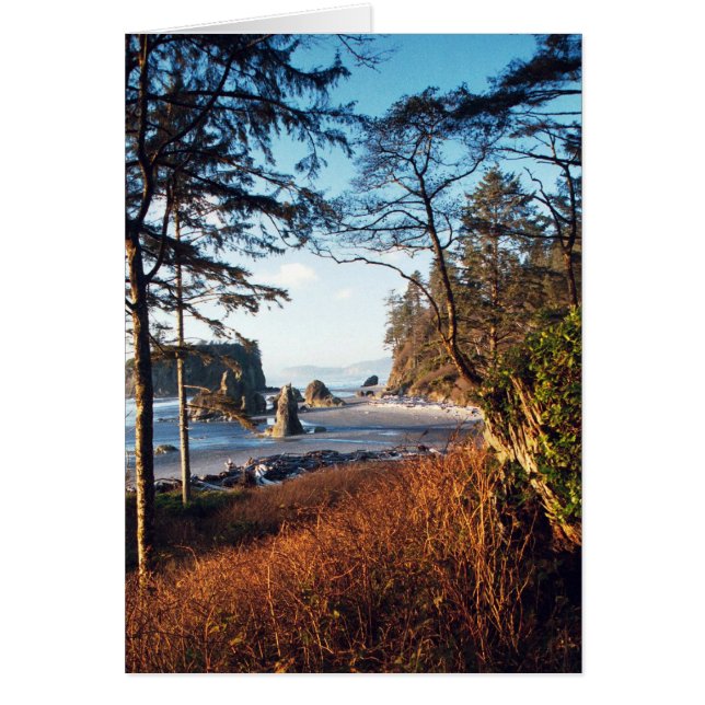 RubyBeach (Devant)