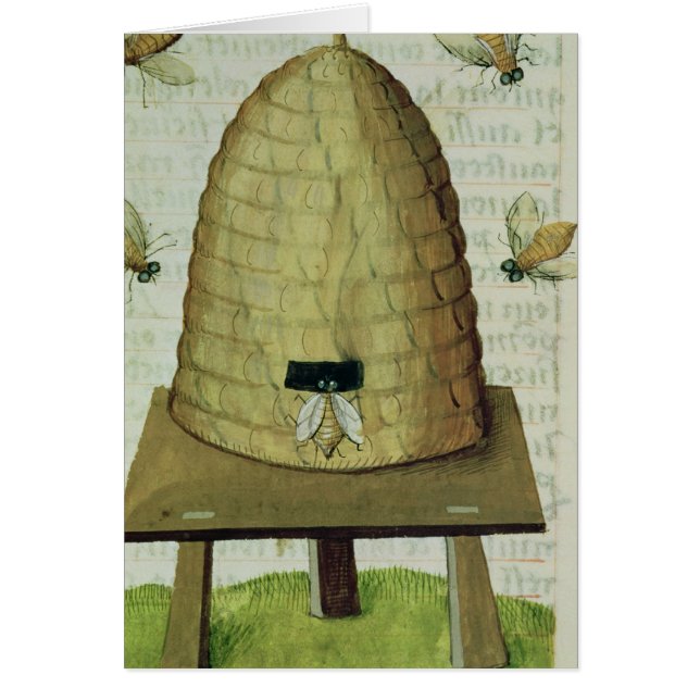 Ruche et abeilles (Devant)
