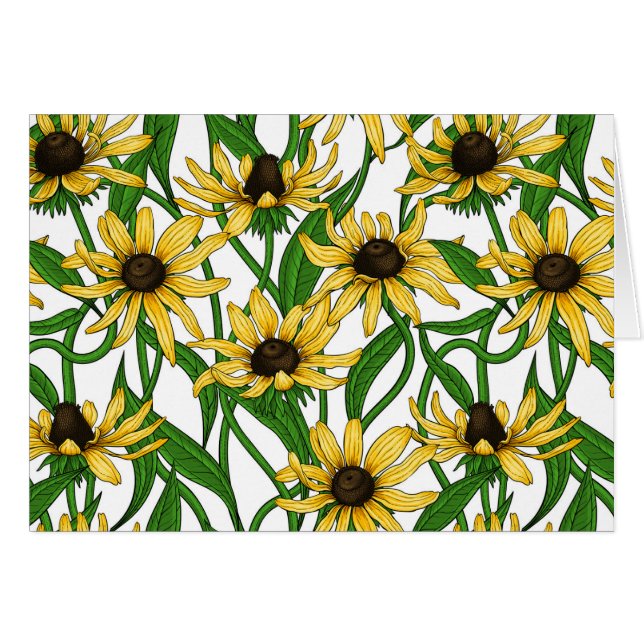 Rudbekia jaune sur blanc (Devant horizontal)