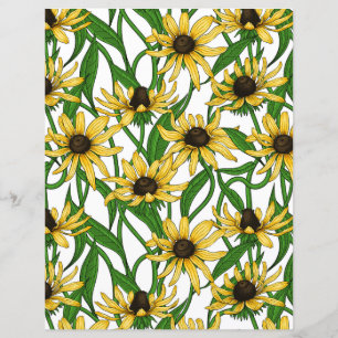 Rudbekia jaune sur blanc