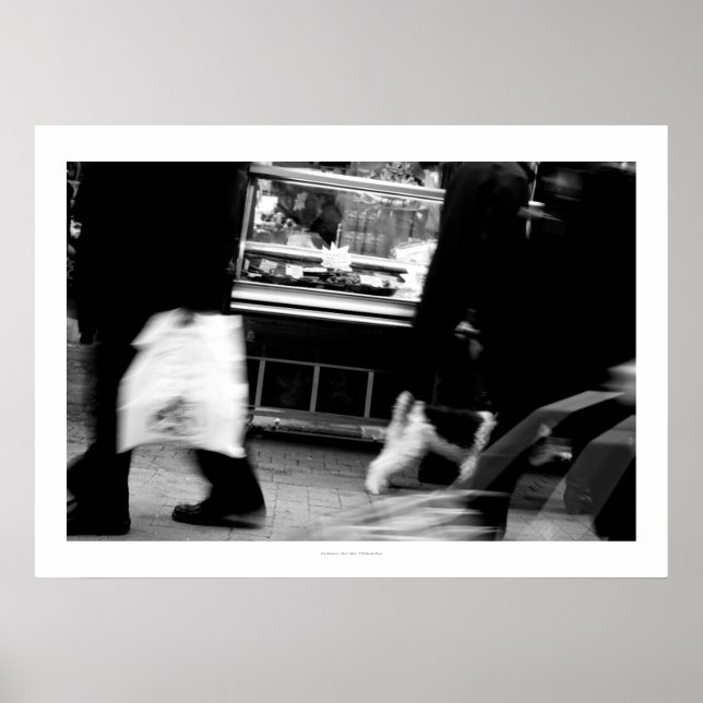 Rue Daguerre Hommage à Agnes Varda 6 Poster (Devant)