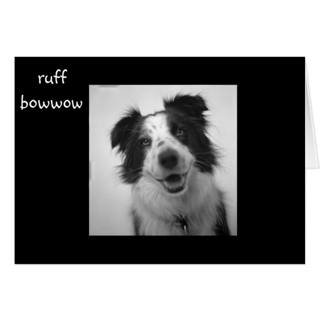 RUFF BOWWOW "40e ANNIVERSAIRE" (Devant horizontal)