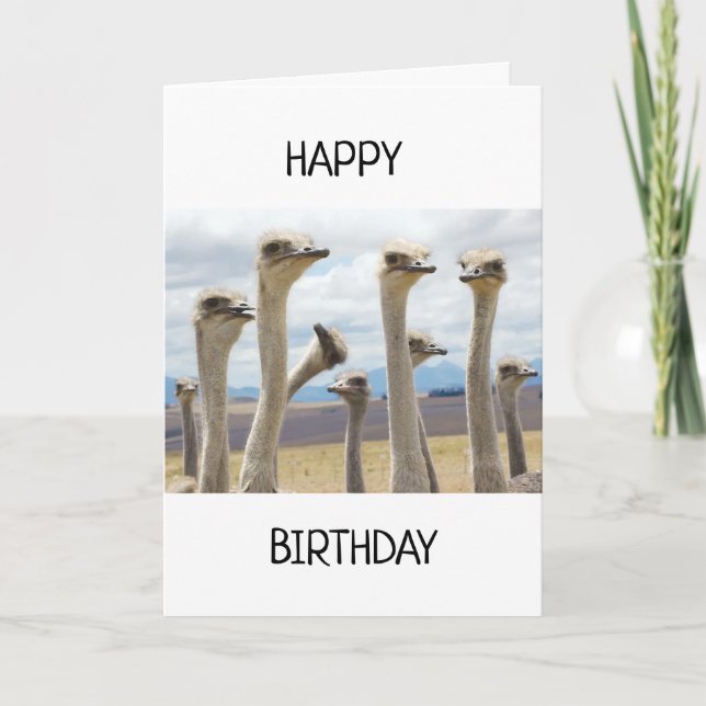 RUFFLED POULET FEATHERERED DIRE HEUREUSE CARTE D'A (Devant)