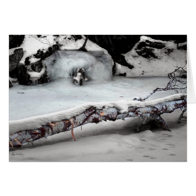 Ruisseau Birchfall de Stinson (Devant horizontal)