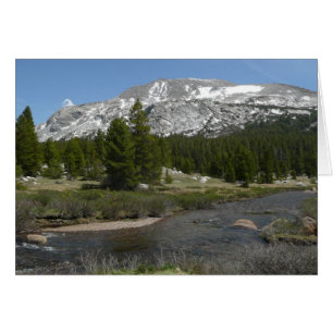 Ruisseau de montagne de High Country II à Yosemite