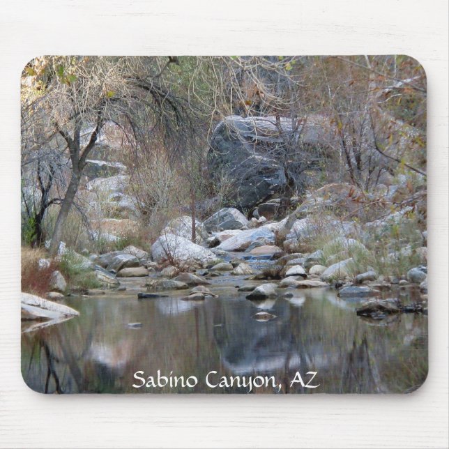 Ruisseau de Sabino Canyon - Tapis de souris (Devant)