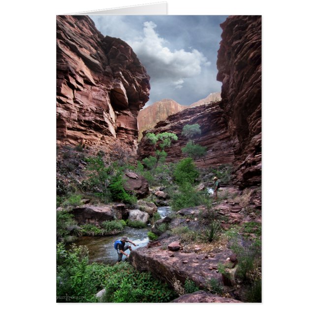 Ruisseau Tapeats - Grand Canyon - Thunder River (Devant)