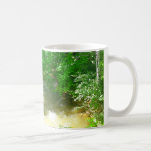 Ruissellement sous la Mug des arbres