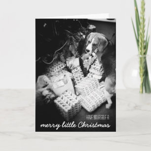 Rupert la carte de Noël Beagle