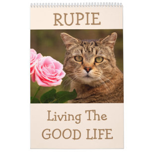 Rupie Shop Cute Cat Calendrier
