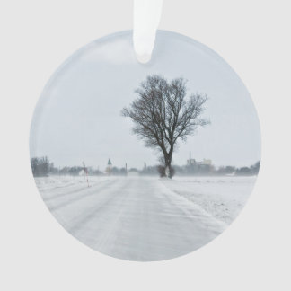 Rural winter road