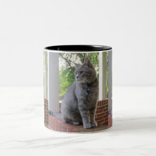Russ La Mug Du Chat