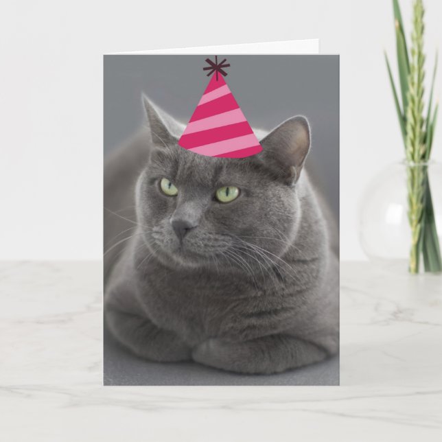 Russe Bleu Cat carte d'anniversaire Focus pour une (Devant)