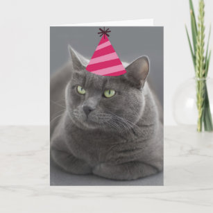 Russe Bleu Cat carte d'anniversaire Focus pour une