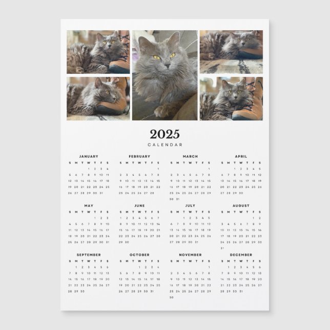 Russe Bleu Nebelung Chat Magnétique 2025 Calendrie (Devant)