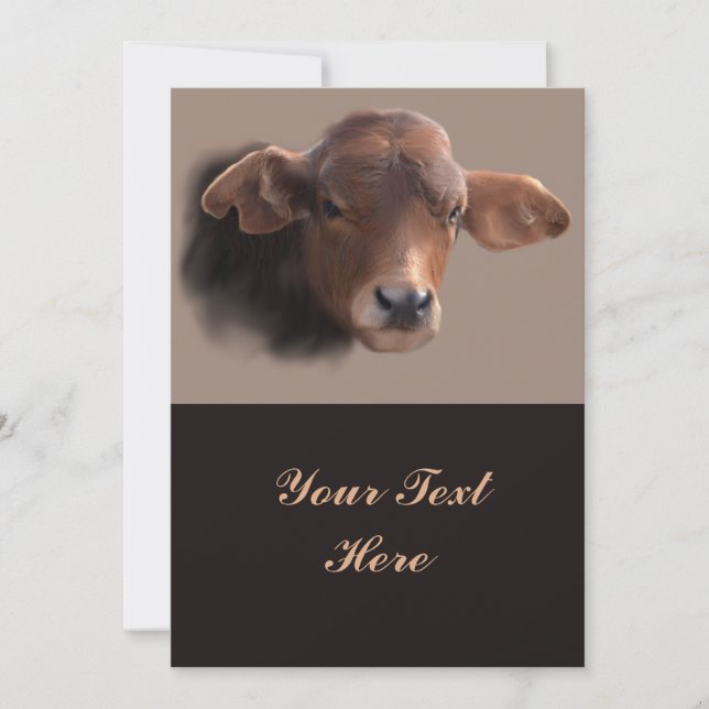 Russet Brown Cow Portrait (Devant)